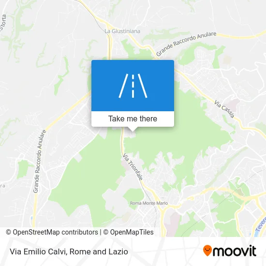 Emilio Calvi Street map