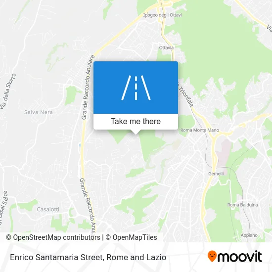 Enrico Santamaria Street map