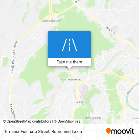 Erminia Fusinato Street map