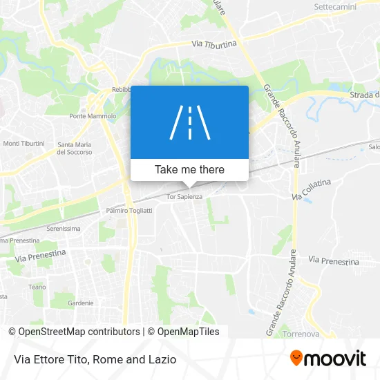 Ettore Tito Street map