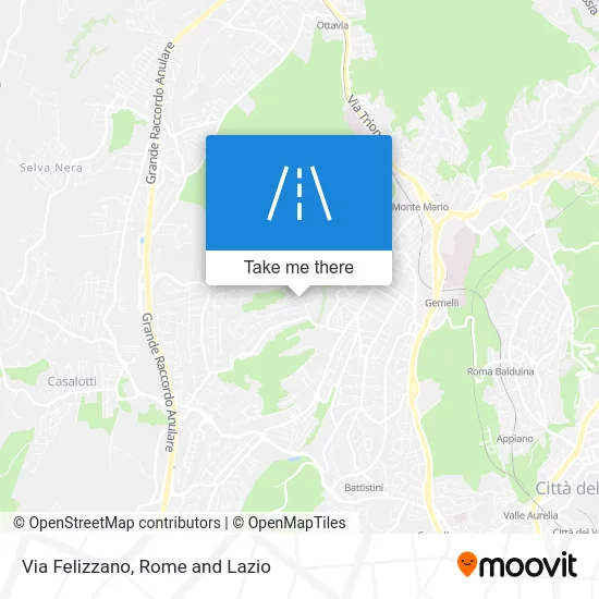 Felizzano Street map