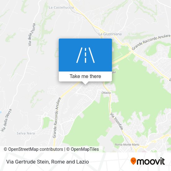 Via Gertrude Stein map