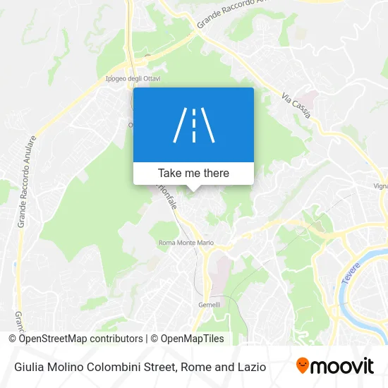 Giulia Molino Colombini Street map