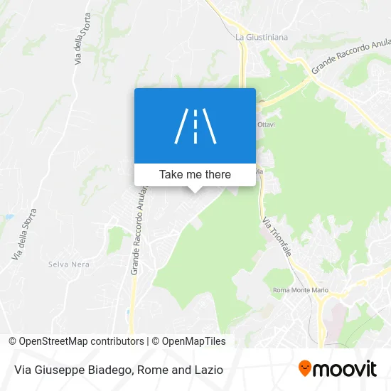 Giuseppe Biadego Street map