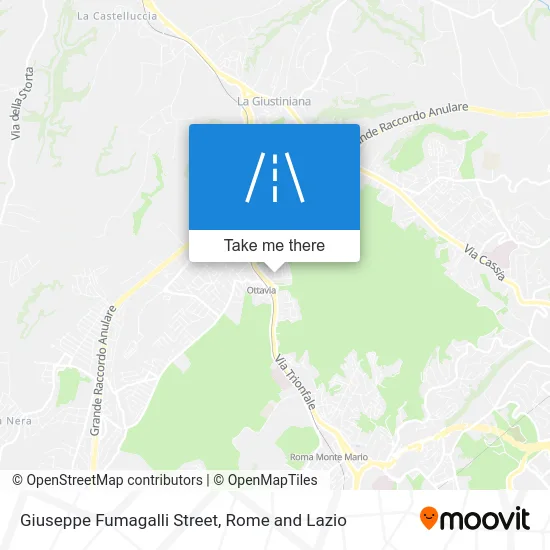 Giuseppe Fumagalli Street map