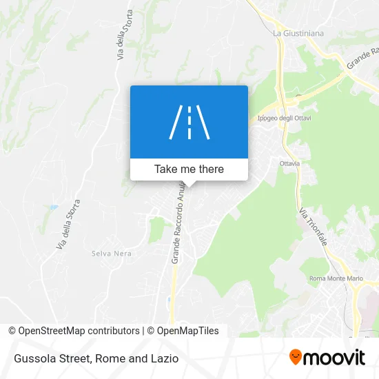 Gussola Street map