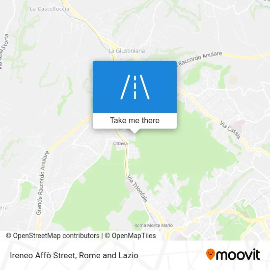 Ireneo Affò Street map