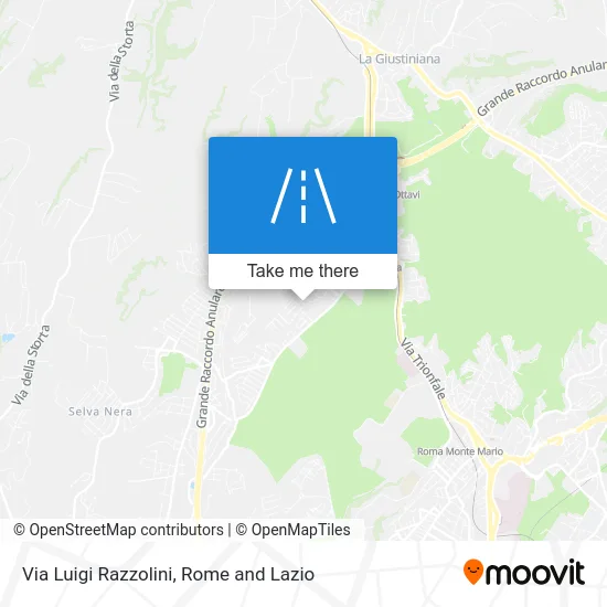 Luigi Razzolini Road map