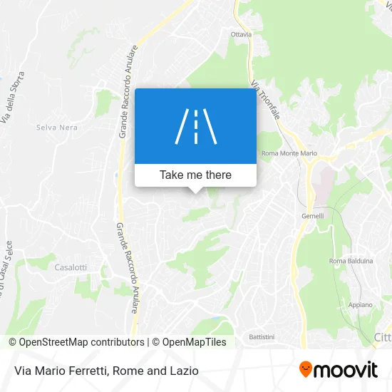 Via Mario Ferretti map