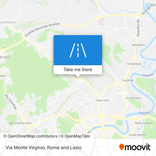 Mount Virginio Street map