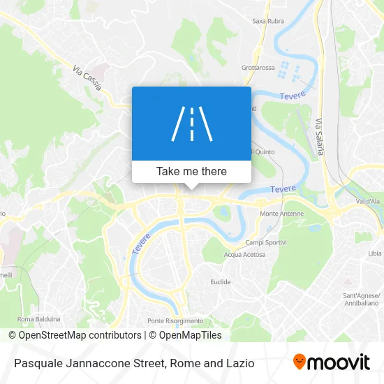 Pasquale Jannaccone Street map