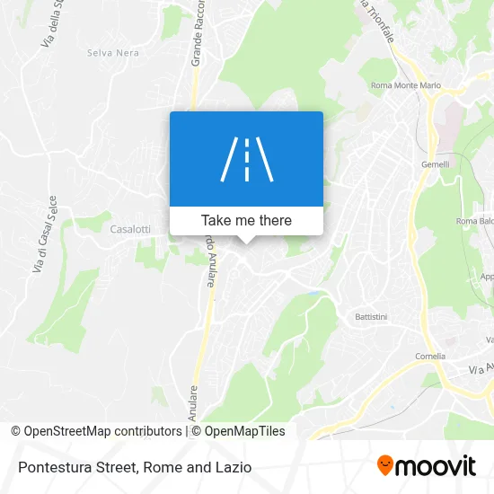 Pontestura Street map