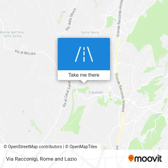 Racconigi Street map