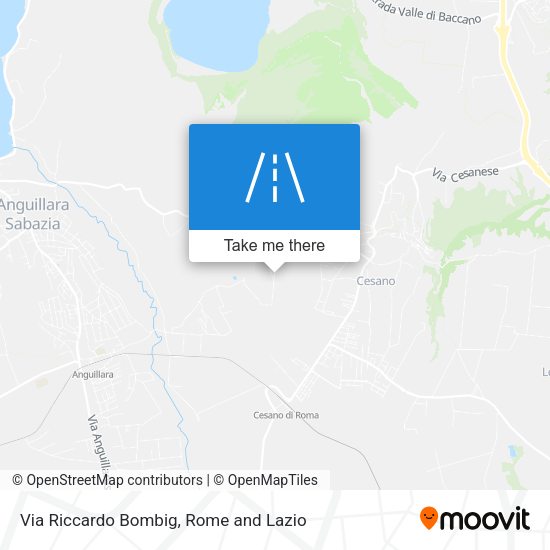 Via Riccardo Bombig map