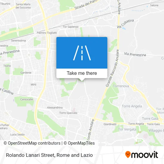 Rolando Lanari Street map