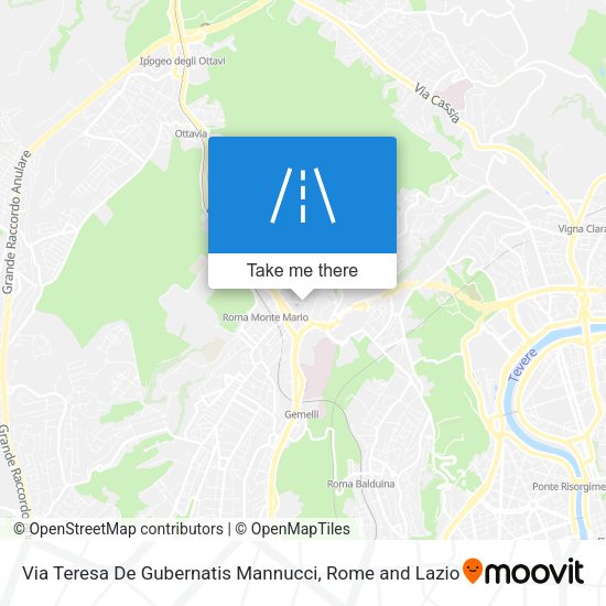 Via Teresa De Gubernatis Mannucci map