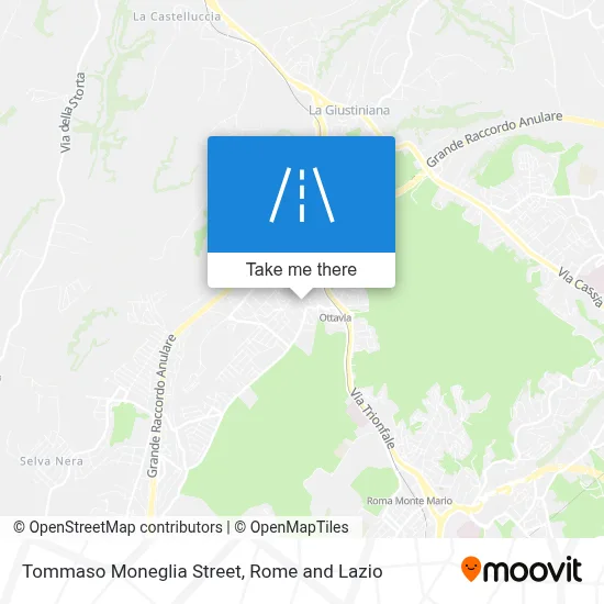 Tommaso Moneglia Street map