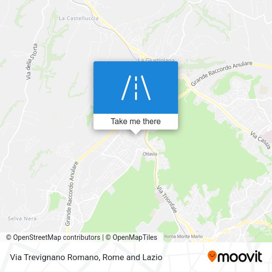 Via Trevignano Romano map