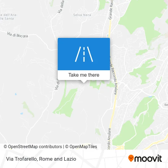Trofarello Street map