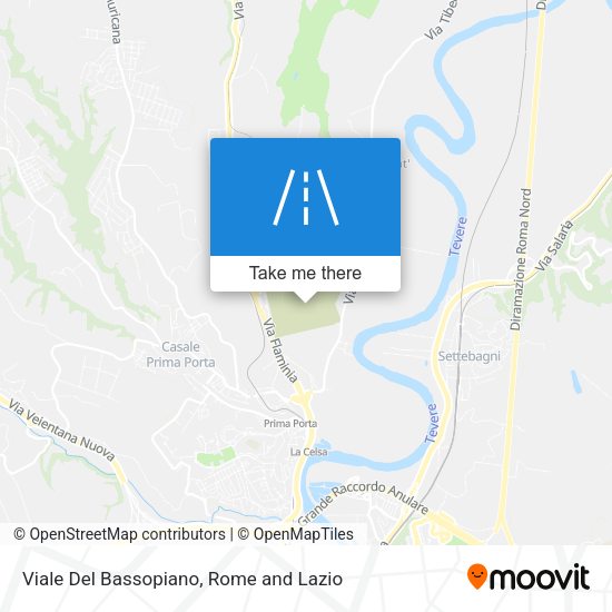 Viale Del Bassopiano map