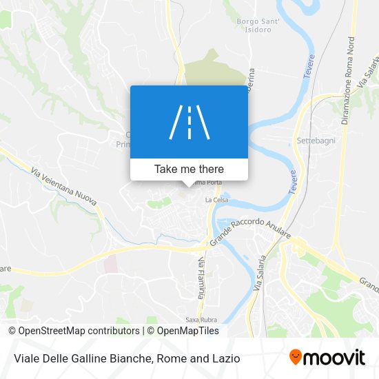 Viale Delle Galline Bianche map