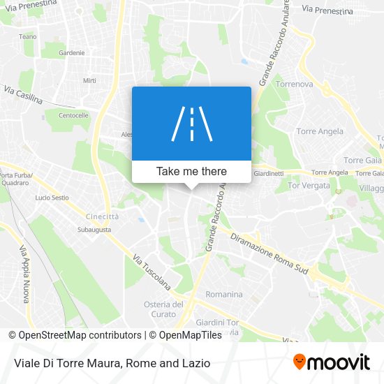 Viale Di Torre Maura map