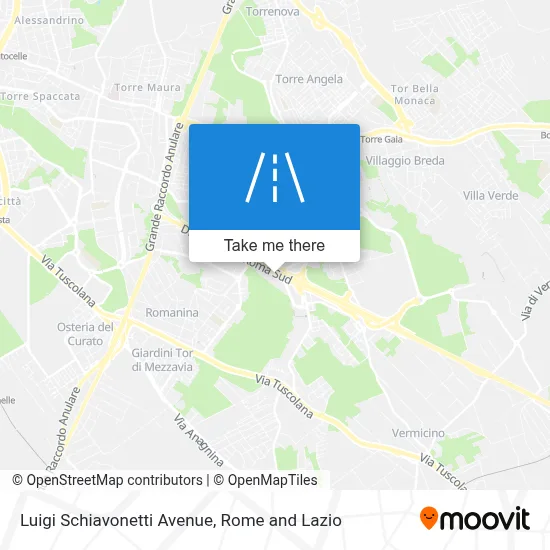 Luigi Schiavonetti Avenue map