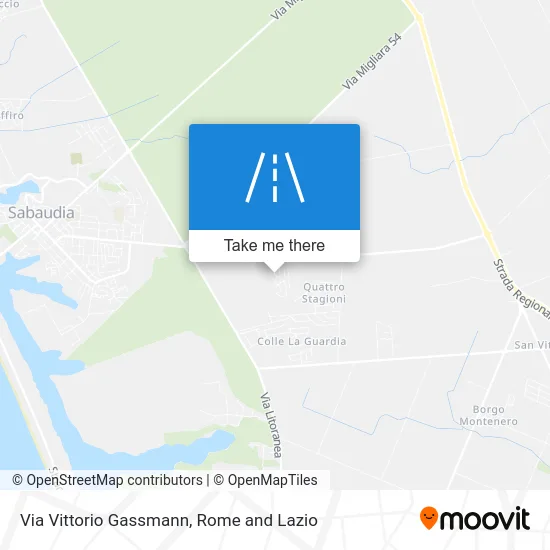 Vittorio Gassmann Street map