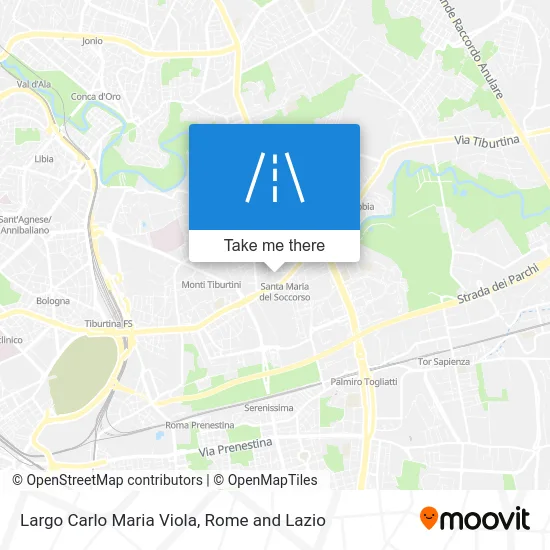 Carlo Maria Viola Square map