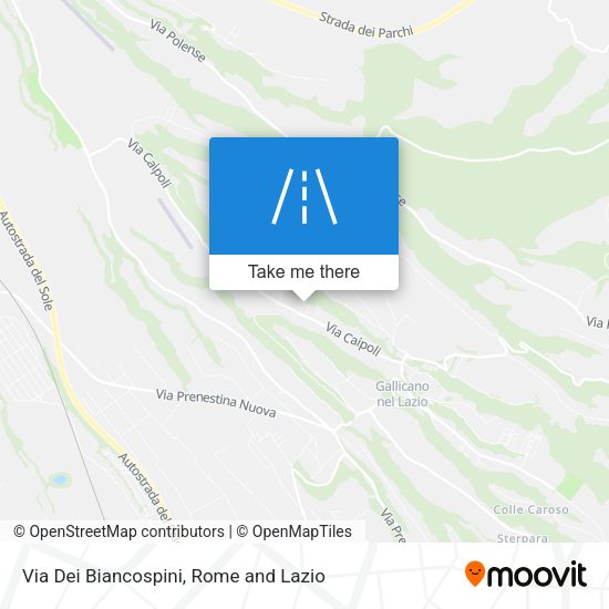 Via Dei Biancospini map