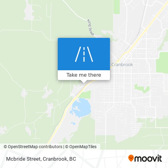 Mcbride Street plan