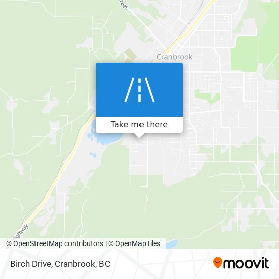 Birch Drive map