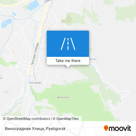 Виноградная Улица map