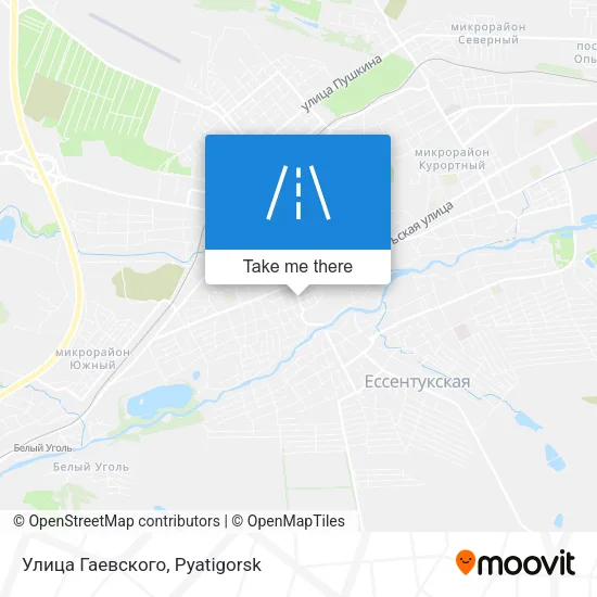 Улица Гаевского map