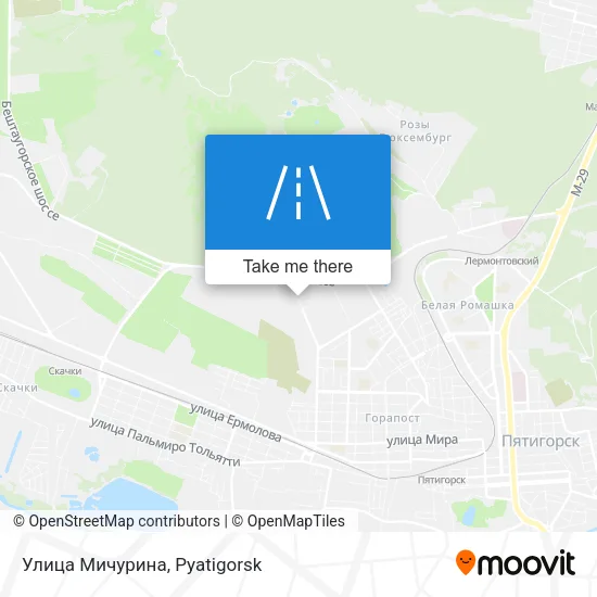 Улица Мичурина map
