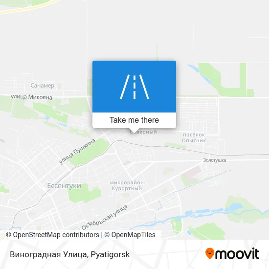 Виноградная Улица map