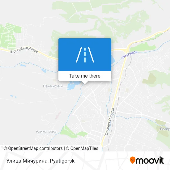 Улица Мичурина map