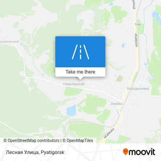 Лесная Улица map