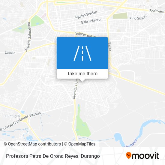 Profesora Petra De Orona Reyes map
