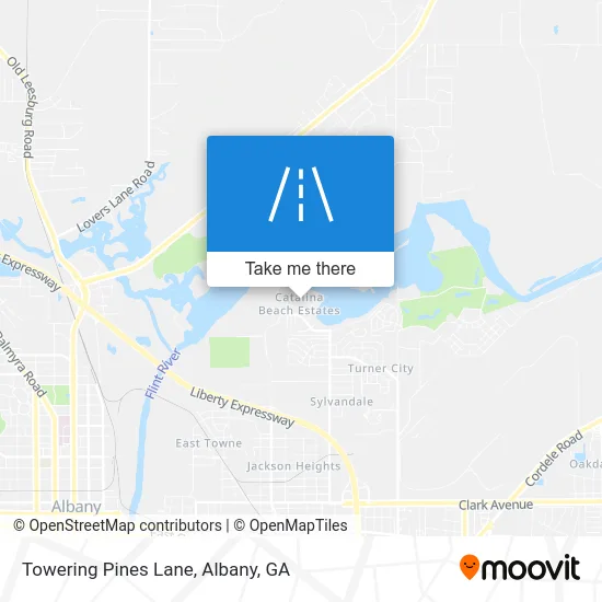 Mapa de Towering Pines Lane