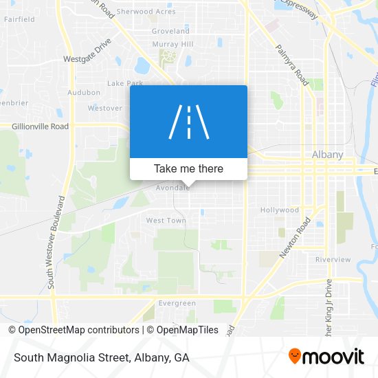 South Magnolia Street map