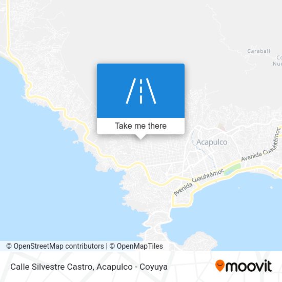 Calle Silvestre Castro map
