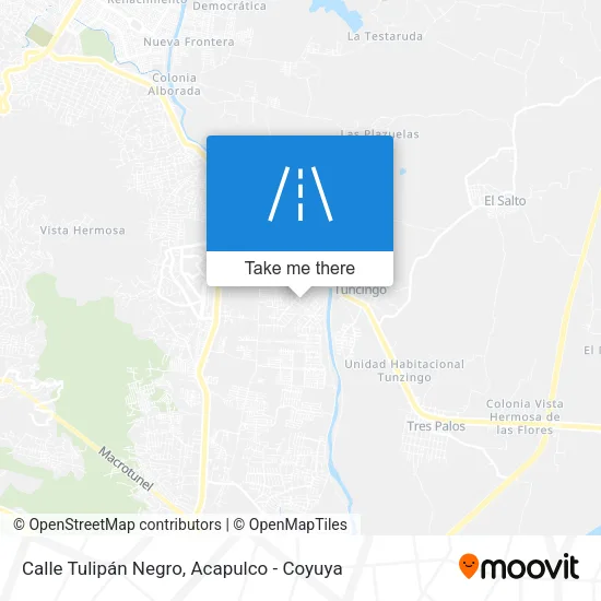 Calle Tulipán Negro map