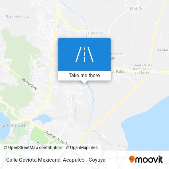 Mapa de Calle Gaviota Mexicana