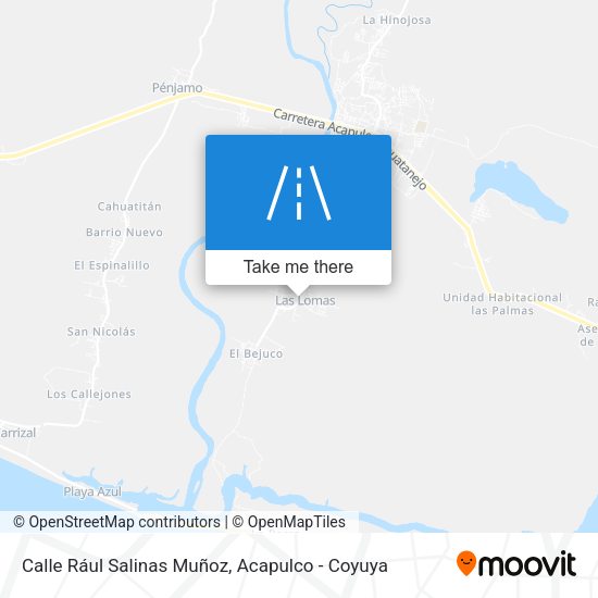 Mapa de Calle Rául Salinas Muñoz