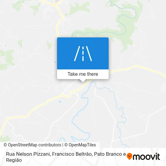 Rua Nelson Pizzani map