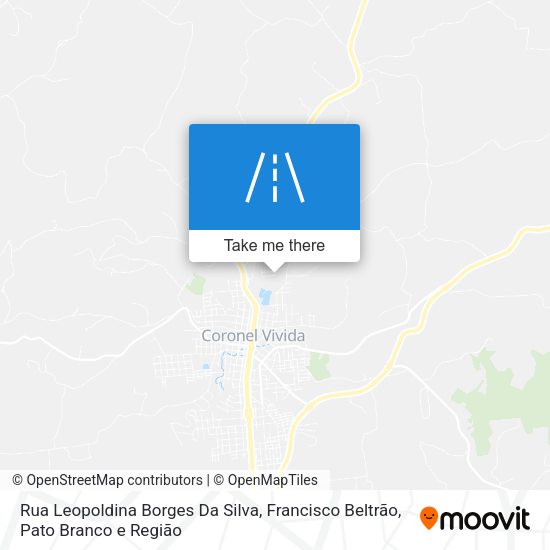 Rua Leopoldina Borges Da Silva map