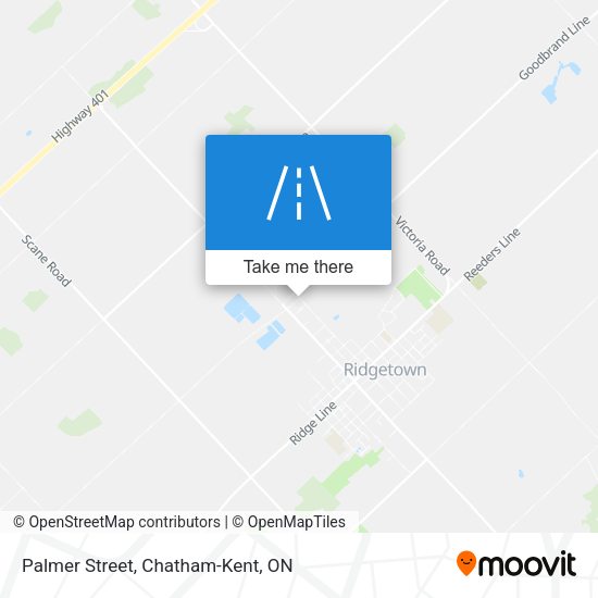 Palmer Street map