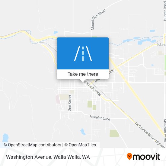 Mapa de Washington Avenue