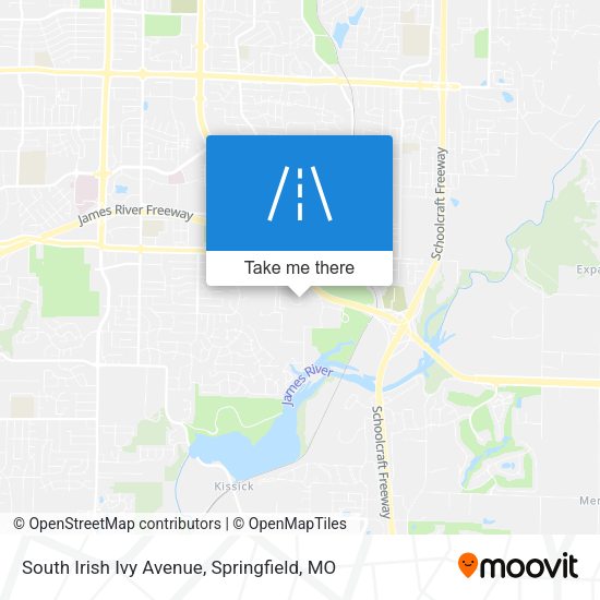 South Irish Ivy Avenue map